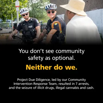Project Due Diligence